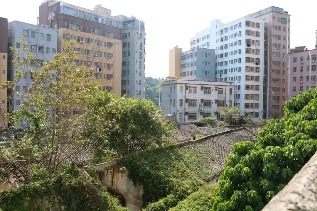 坂田百年老村：乡愁记忆正在唤醒 城市活力等待焕新-房产资讯-房天下
