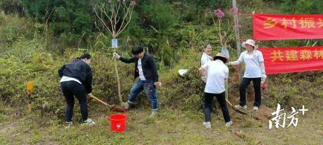 为春色添点绿！高州市深镇镇人大组织开展义务植树活动 房产资讯 房天下