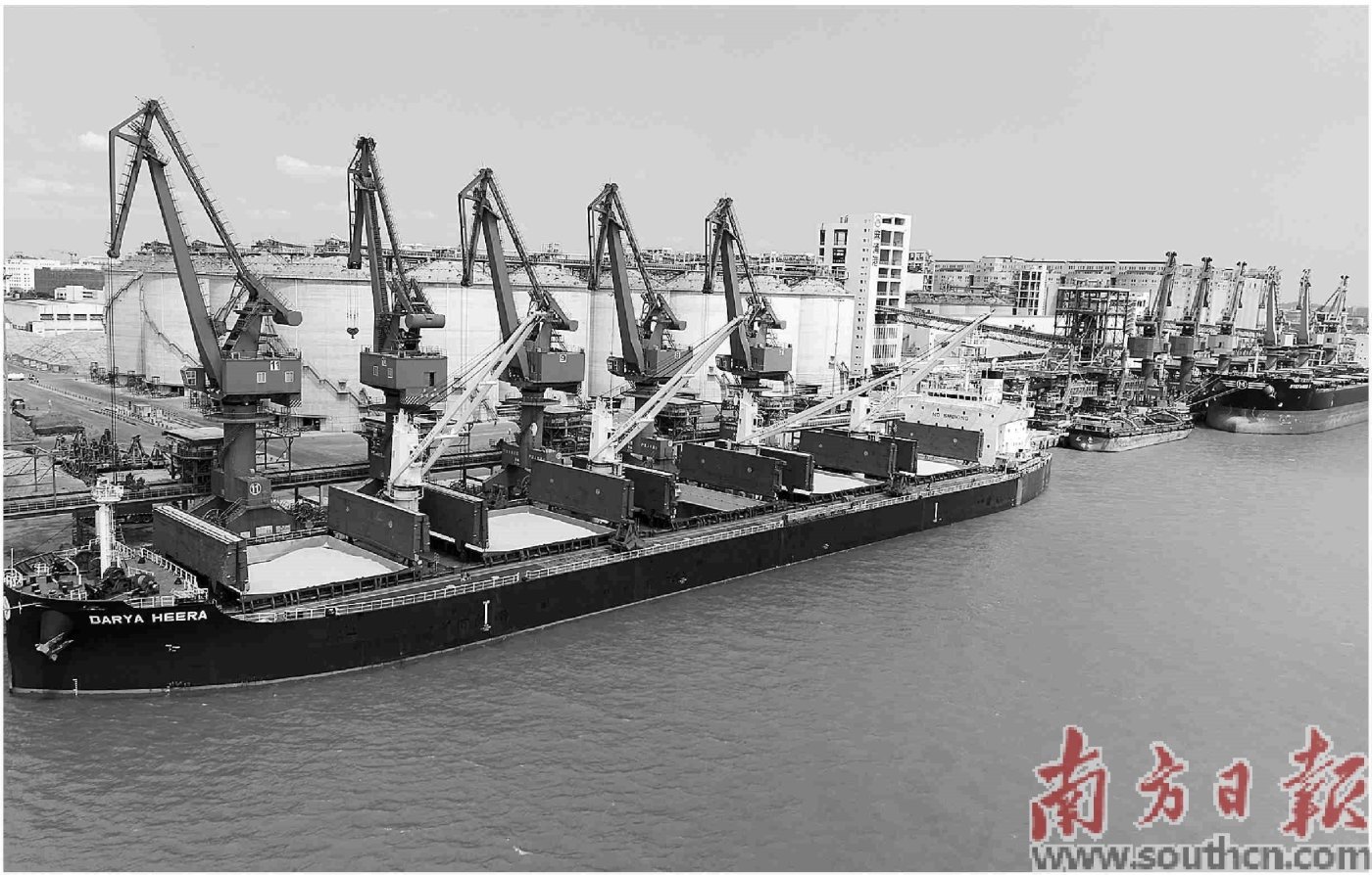全国首船南非饲料玉米运抵东莞港-房产资讯-房天下