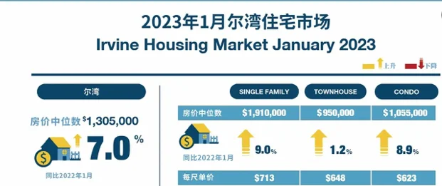 封藏10年「城市化湾区」要OB体育发货了！(图2)