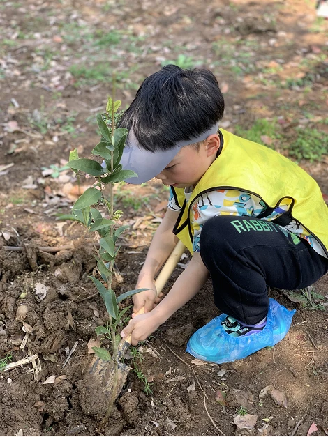 武汉团建研学定制专星空体育官网家!自然艺术高校研学非遗文化撒野户外冬夏令营!正在(图1)