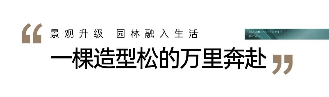 半岛体育中国官方网华泰西苑 二期平墅品质提升完美兑现园林景观焕新提前“剧透”(图5)