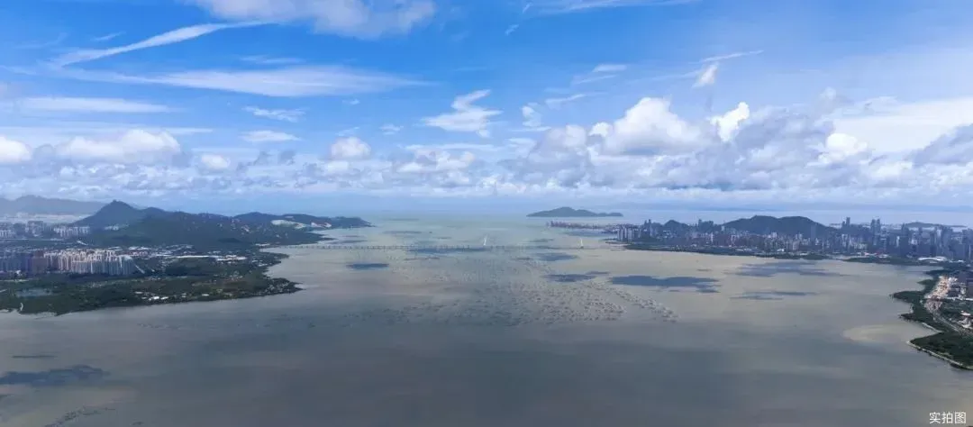 已取证!金地环湾城备案价1337万起,海景改善大平层来了-房产资讯-房天下