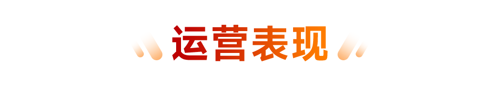 2025中国房地产百强企业研究报告