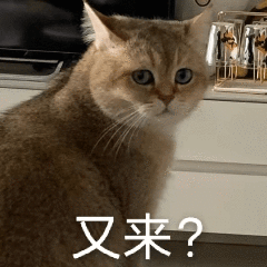 42af45a3cd6bed9f22aaa63677b9f357.png