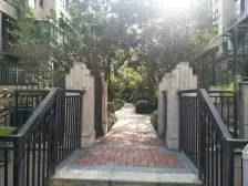 启迪协信城立方 1室1厅 南