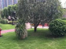 仁能云的左岸131平 大四房 价格好