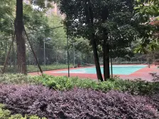 宫和西香郡 3室2厅 西南