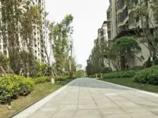 前后100多平的一楼花园金科品质小区