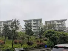 正规一室一厅,户型方正,采光好