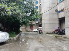 电子路段94号 3室2厅 南