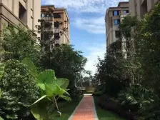 协信城立方揽院 4室2厅 南