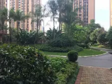 弹子石 蓝光coco时代三期三房80万