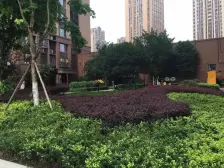 一见倾心得装修,有质感,看万家灯火得视野,位置好