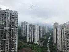 弹子石 盘龙花园一期二房