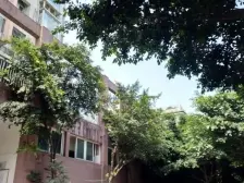 新天地 3室1厅 北 南