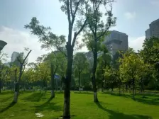 龙湖2房2卫洋房小户 一楼带个小花园