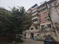 杨家坪 桃园小区(九龙坡杨家坪)三房55万