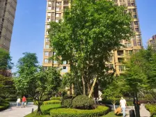 融创品质小区,户型方正,视野开阔采光好,住家安静