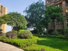 大渡口新城区,近万达,近马桑溪古镇,近建桥轻轨站