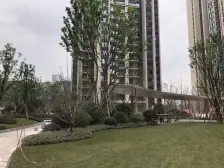 龙湖品质 交通方便 内圈安静 精装横厅四房