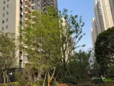 中海锦江城云熙一期 3室2厅 南