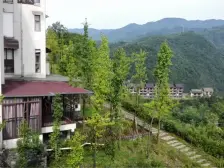 武隆 隆鑫花漾的山谷 2室2厅