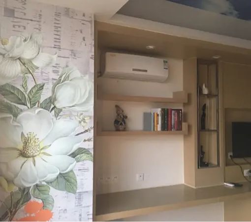 合生广场 整租 1室1厅1卫 49平米(个人)