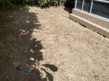 坦洲 优越香格里 4室2厅