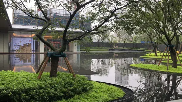 融创·观溪樾怎么样:环境还可以,物业服务也到.-自贡房天下楼盘点评