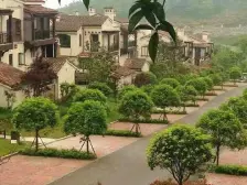 武隆 隆鑫花漾的山谷3室2厅2卫实得面积120