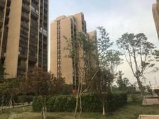 六合 骋望怡峰花园 3室2厅,简装。只等有缘人。