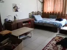 工人路陇海西路能上伊河路伊小学19中学外语中学2室1厅