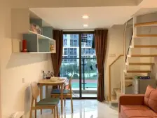 直降5万碧桂园苹果小户型30万低价出售