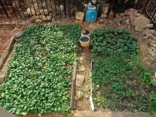 稀缺户型,胜过140平米,赠送面积超20平米,50平米大院子