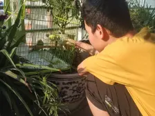 可商业可居家学区房底楼黄金位置华宇时代星都93平精装房