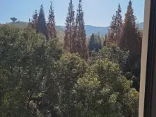 降价出售 湾里 恒茂森林海 1室1厅。