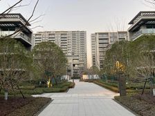 东部新城明湖板块 精装豪宅 绿城柳岸晓风