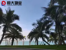 儋州 海花岛 1室1厅