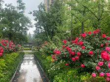 淄川 中外建·海云台 2室2厅