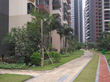 禾粤尚德居2室2厅1卫南朝向79.00万元出售