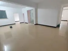 合兴苑 全新装修 条形砖外墙 带电梯 望花园