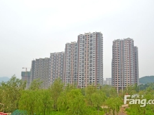 就是便宜,两居室,有装修,看房方便