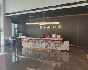 卓越维港新交付小区,500米就到瑶溪轻轨站