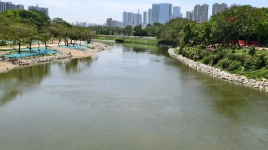 直播封面