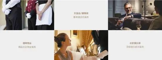 再登高台!以德商荣光,致敬成都荣耀