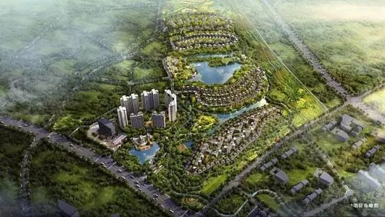 微信图片_20190909100552