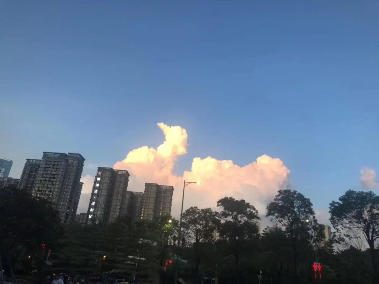 房价