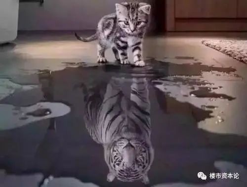 房价