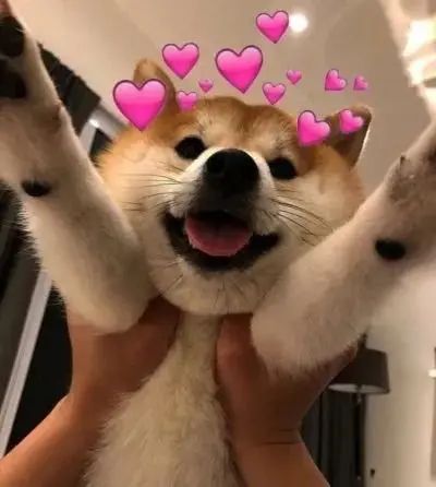 房价